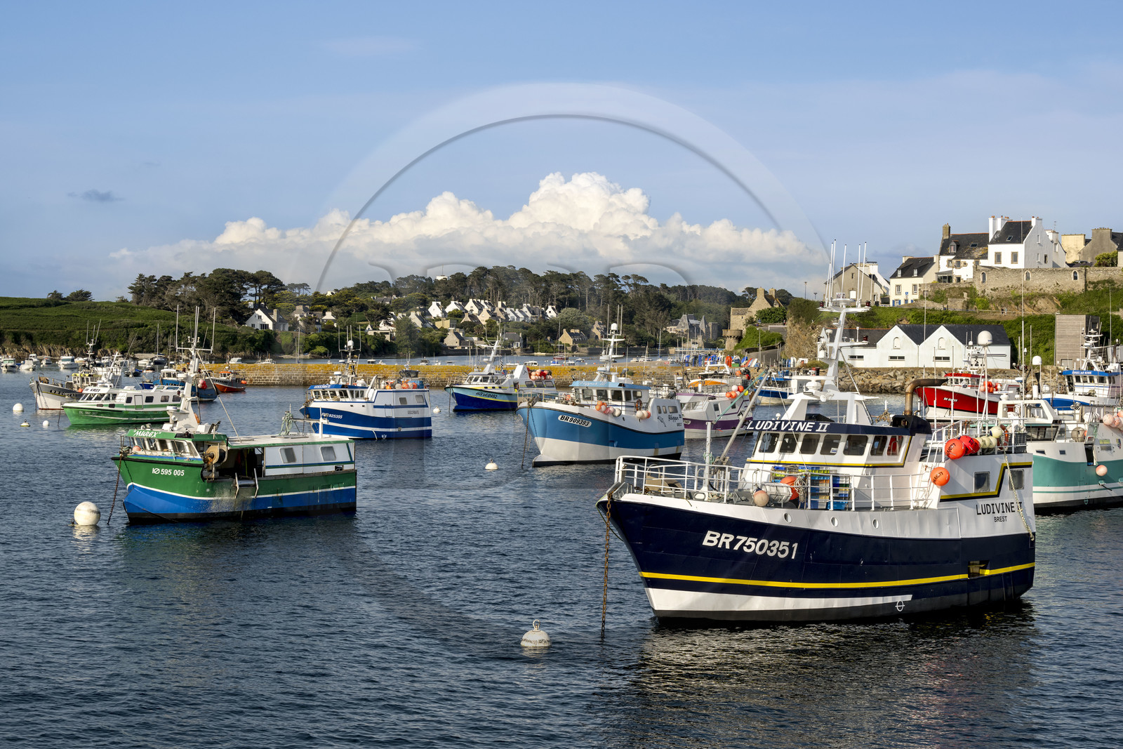 France, Finistère (29), Le Conquet, le port avec ses bateaux de pêche