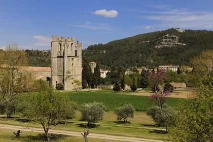 France, Aude (11), village de Lagrasse, labellisé Les Plus Beaux Villages de France, abbaye Sainte-Marie de Lagrasse