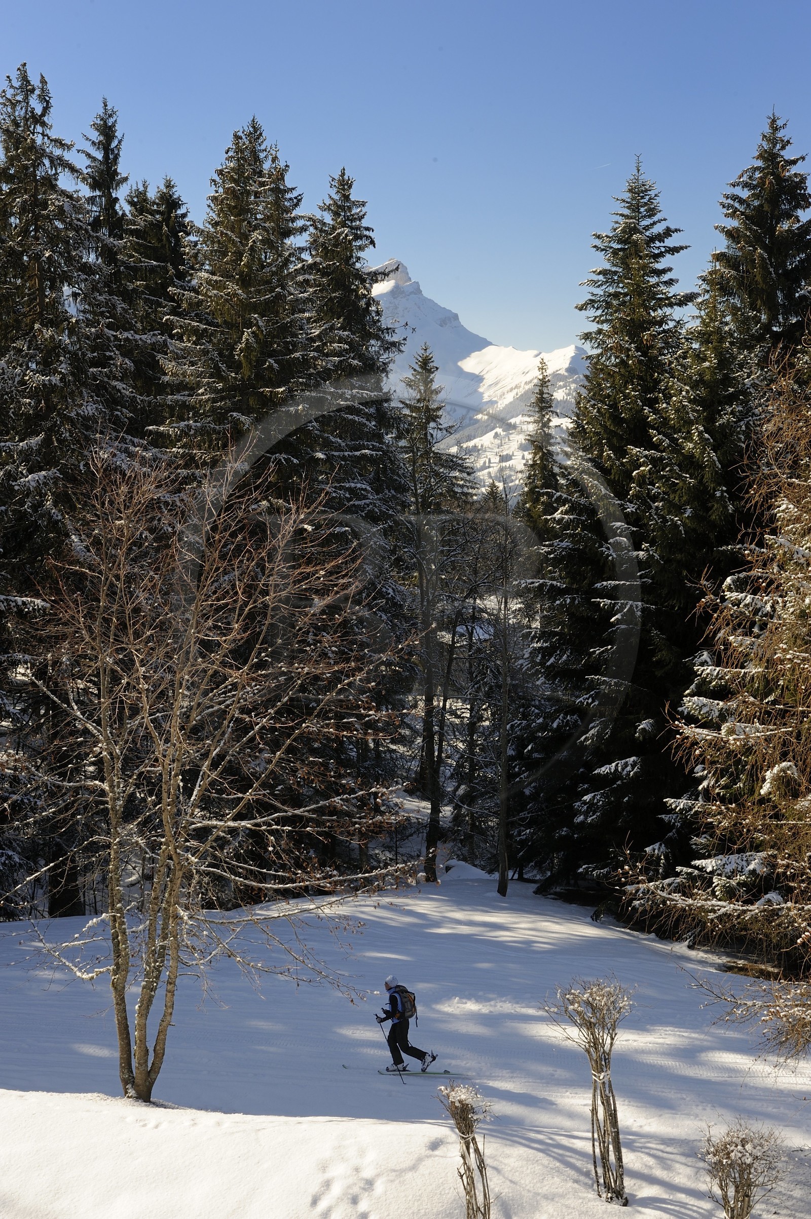Suisse, Canton de Vaud, Villars sur Ollon