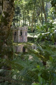Portugal, région de Lisbonne, Sintra, classée Patrimoine Mondial de l'UNESCO, parc du Palais national de Pena (Palacio Nacional da Pena)