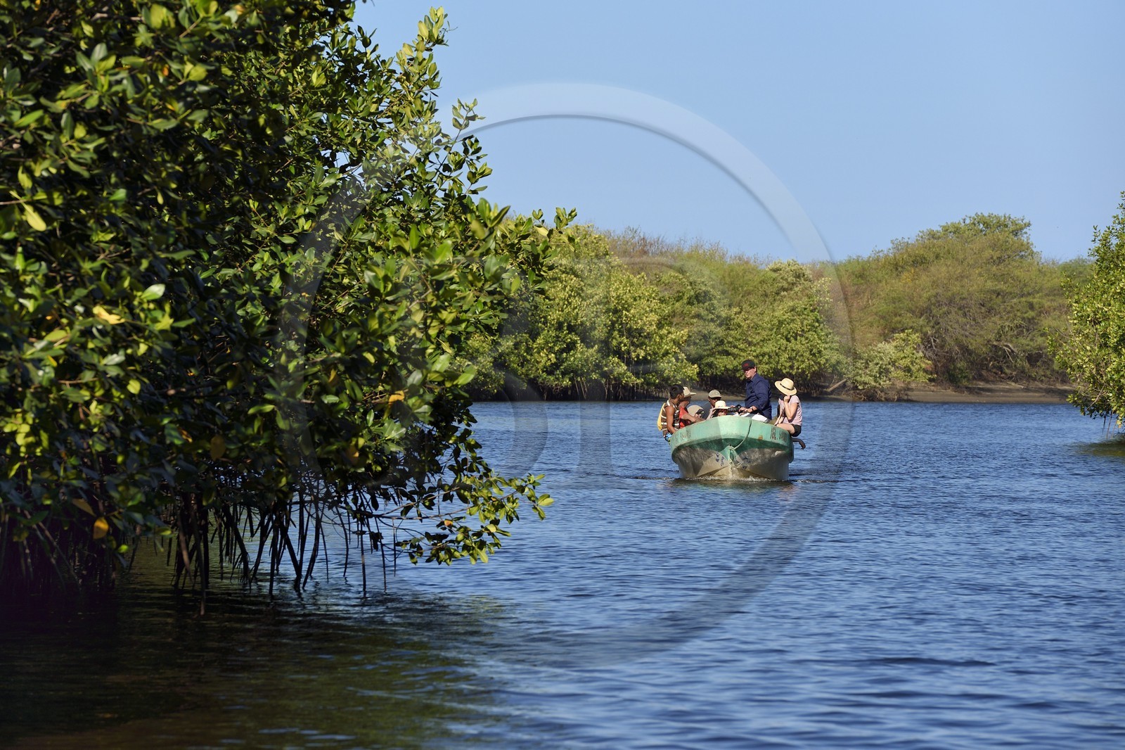 Nicaragua, la côte pacifique de Leon, découverte en bateau de la mangrove du parc national Isla Juan Venado