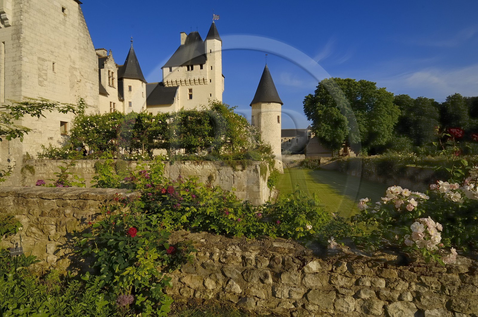 France, Indre et Loire (37), château du Rivau