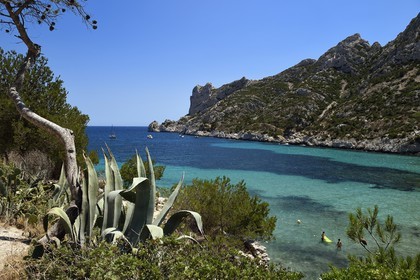 France, Bouches du Rhone, Marseille, National Park of the Calanques, Calanque de Sormiou, Calanque de Sormiou (cove) (request for authorization necessary before publication)