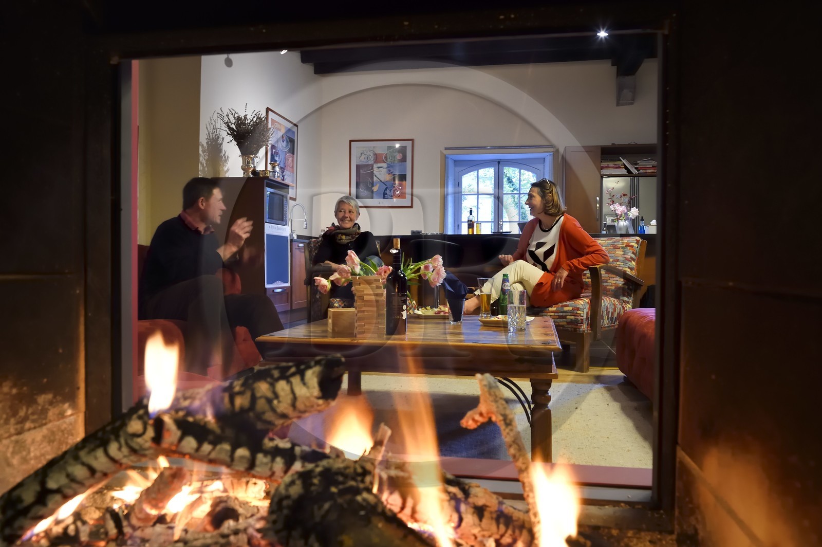 France, Charente (16), Bourg-Charente, chambres d'hotes le Domaine des Platanes