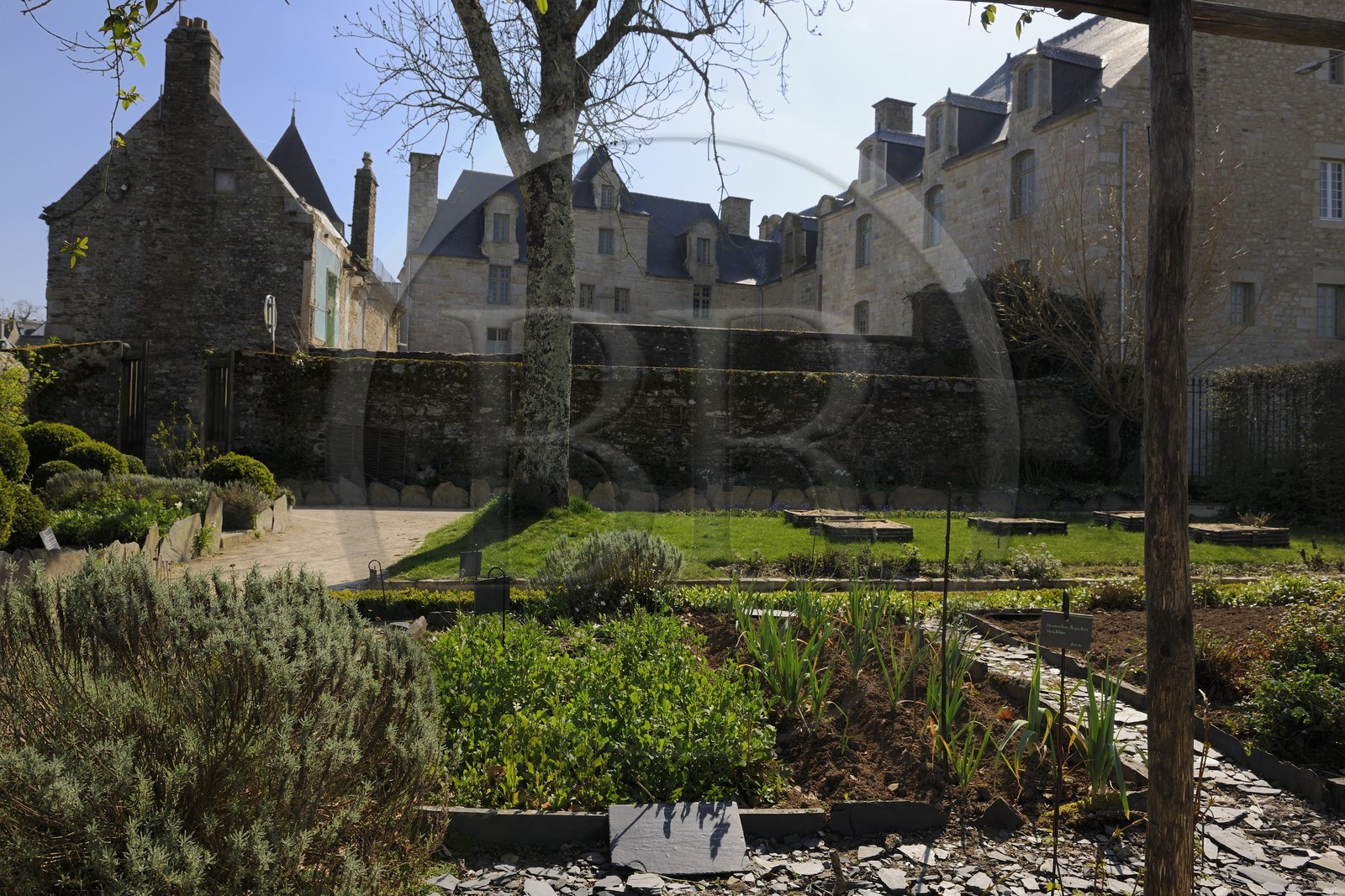France, Finistère (29), Quimper, quartier de Locmaria, jardin de plantes médicinales et aromatiques France, Finistère (29), Quimper, quartier de Locmaria, jardin de plantes médicinales et aromatiques