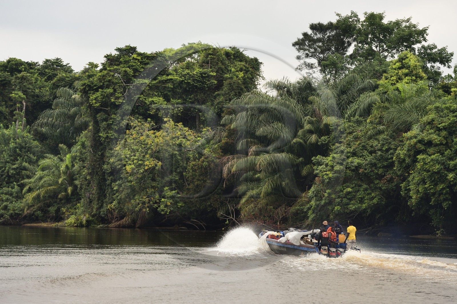 Gabon, province de Ogooué- Maritime, transport de frêt sur un bateau à moteur descendant une rivière de la lagune du Fernan Vaz (Nkomi)