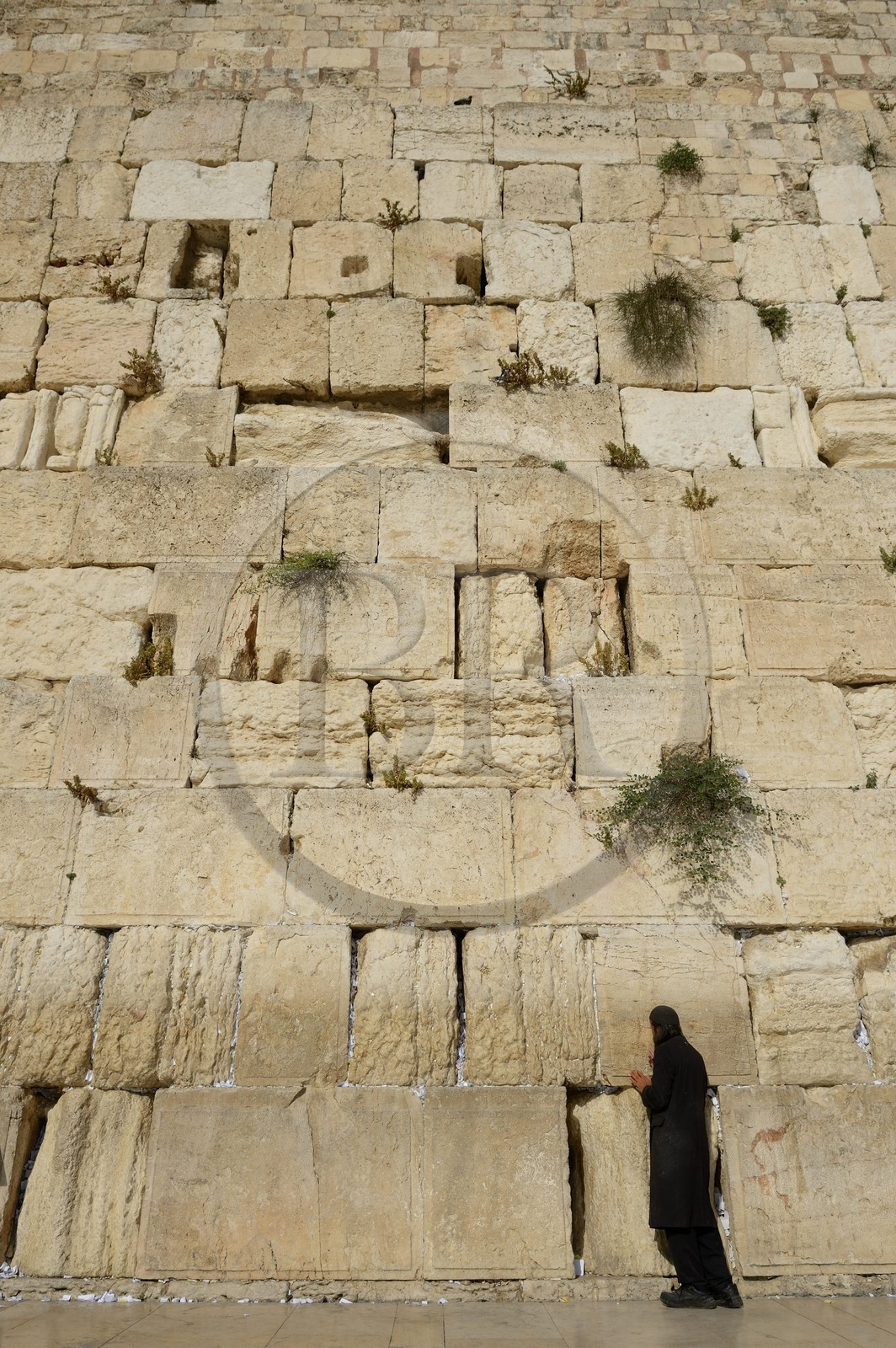 Israel, Jérusalem, ville sainte, vieille-ville classée Patrimoine Mondial de l'UNESCO, Mur des Lamentations ou mur occidental faisant partie des murs de soutènement de l'esplanade du Temple construite par Hérode Ier le Grand