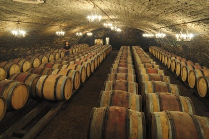 France, Côte d'Or (21), Gevrey-Chambertin, cave du domaine Drouhin-Laroze