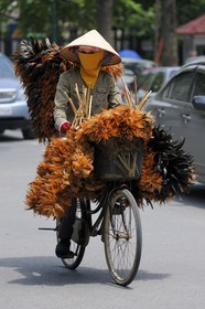 Vietnam, Hanoï, vendeuse à vélo de plumeaux
