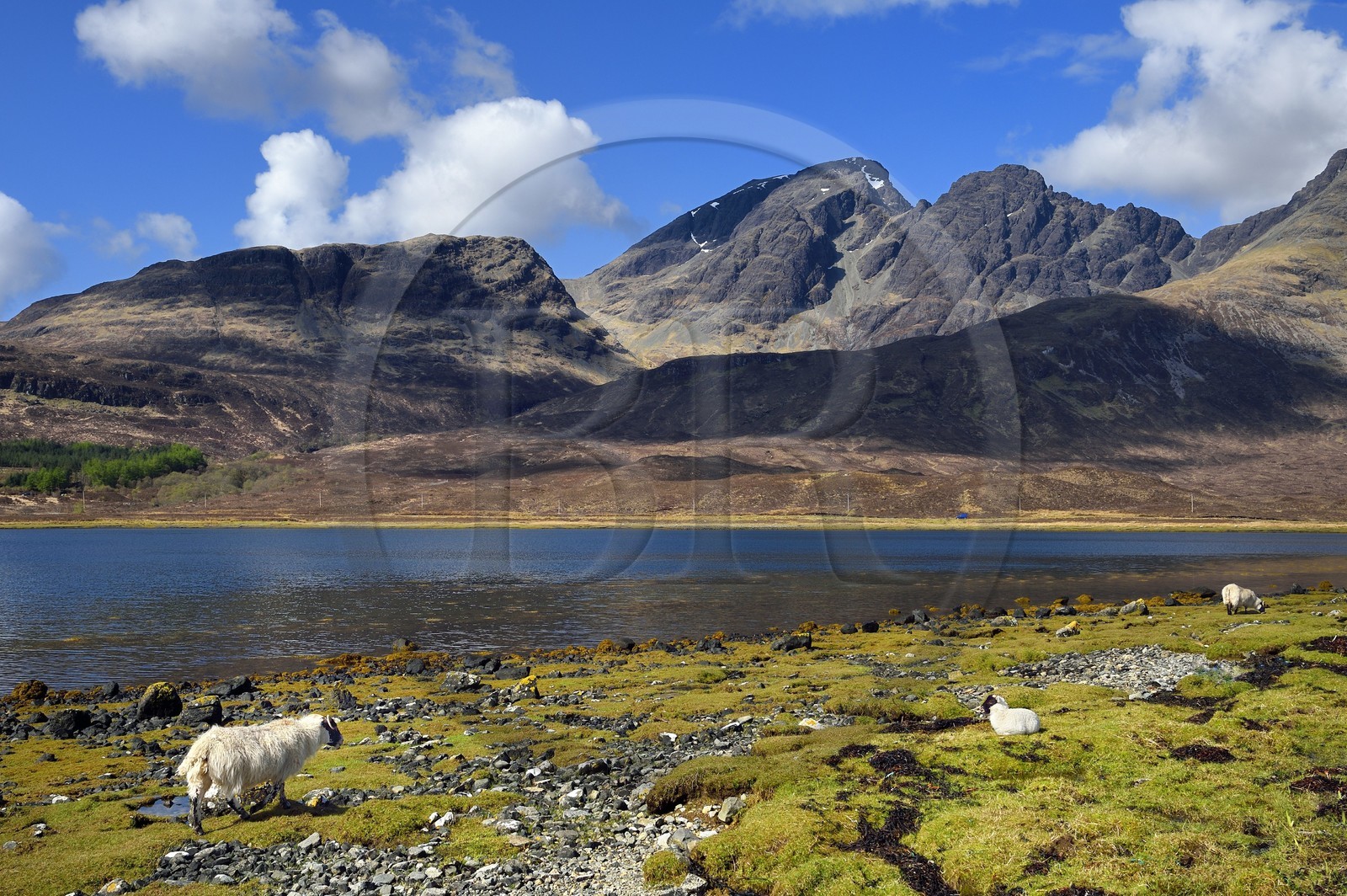 Royaume-Uni, Ecosse, région des Highlands, les Hébrides, Ile de Skye, le Loch Slapin vers Torrin et les montagnes des Red Cuillin