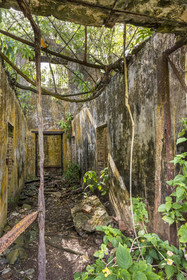 France, French Guiana, Kourou, Salvation Islands (Iles du Salut), Saint Joseph Island, ruin of the penal colony dedicated to the seclusion of the most difficult prisoners