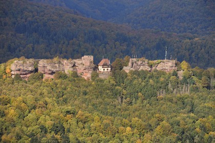 France, Bas Rhin, le Haut-Barr Castle (aerial view)