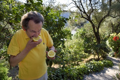 France, Alpes-Maritimes (06), Menton, le domaine de la Citronneraie, son créateur François Mazet, le Citron de Menton n’est pas ciré et ne subit aucun traitement chimique après la récolte