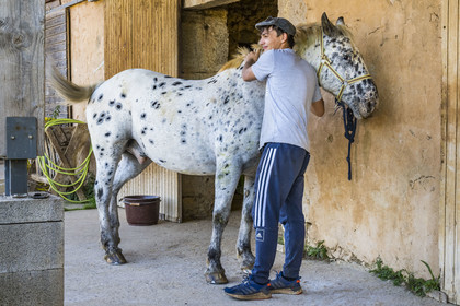 France, Herault, the Causses and the Cevennes, Mediterranean agro pastoral cultural landscape, listed as World Heritage by UNESCO, La Vacquerie et Saint Martin de Castries, the Mas de Cisco ranch, Julian Amposta and his horse Wapito