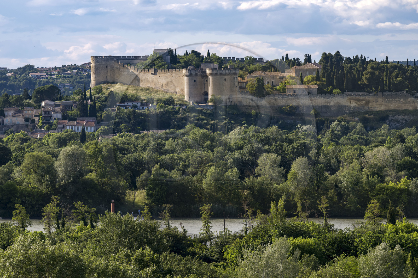 France (30), Gard, Villeneuve-lès-Avignon, Fort Saint André et ses remparts surplombant le Rhône