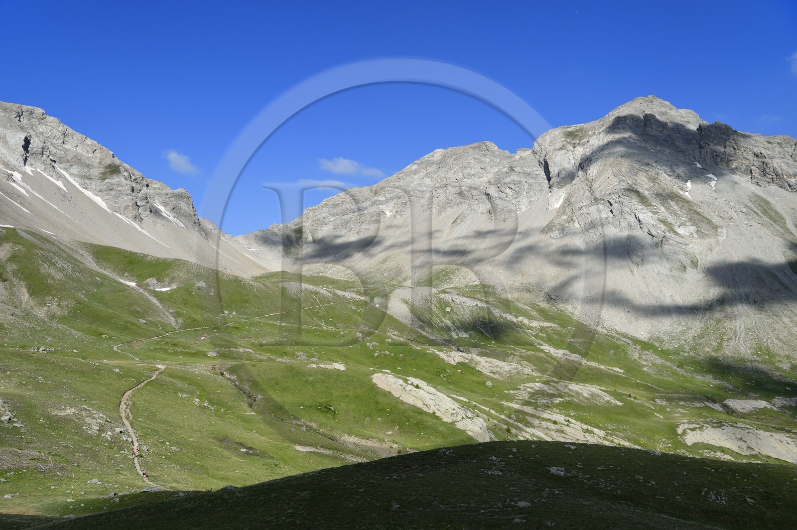 France, Alpes-de-Haute-Provence (04), Uvernet-Fours, parc national du Mercantour, vallée de l'Ubaye, col de la Cayolle (2326 m), sentier de randonnée qui grimpe à travers la pelouse alpine sur le circuit des lacs sous le sommet de la montagne du Trou de l’Aigle France, Alpes-de-Haute-Provence (04), Uvernet-Fours, parc national du Mercantour, vallée de l'Ubaye, col de la Cayolle (2326 m), sentier de randonnée qui grimpe à travers la pelouse alpine sur le circuit des lacs sous le sommet de la montagne du Trou de l’Aigle