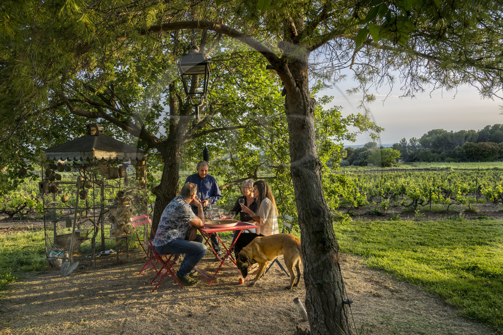 France, Vaucluse, Dentelles de Montmirail mountains, Beaumes de Venise, Mas de l’Evajade, the winegrower’s guesthouse of Corinne and Pascal Bernard
