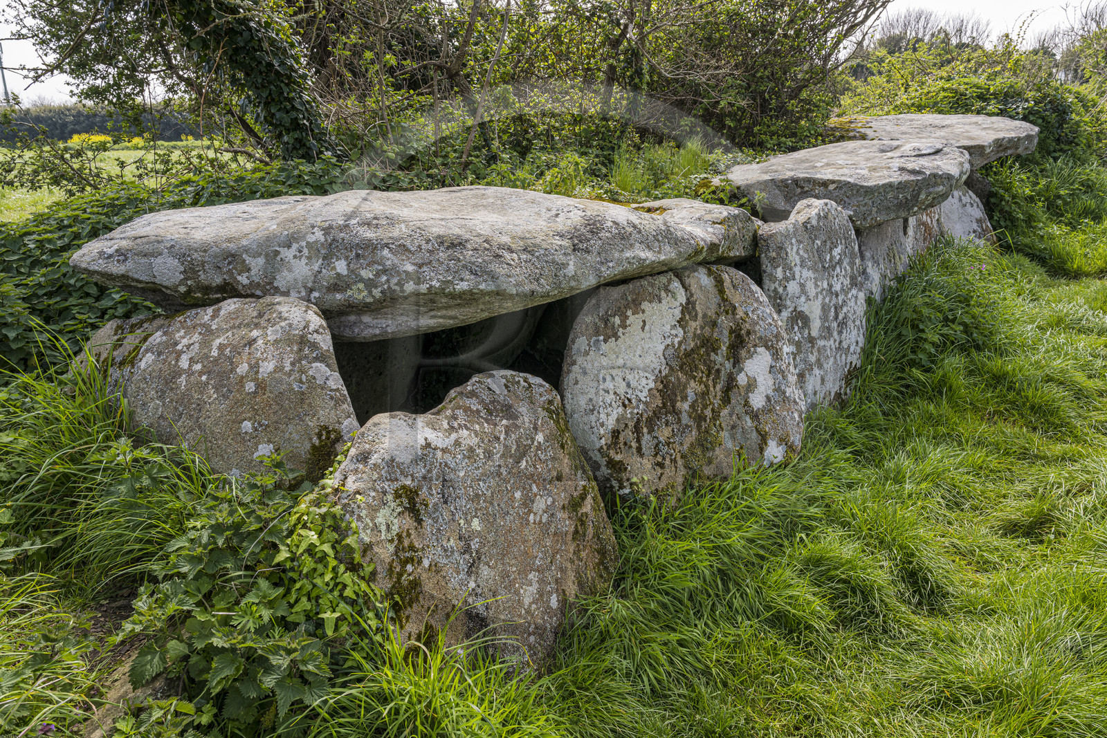 France, Côtes-d'Armor (22), Côte de Granit Rose, Trégastel, allée couverte Kerguntuil vestige du néolithique final
