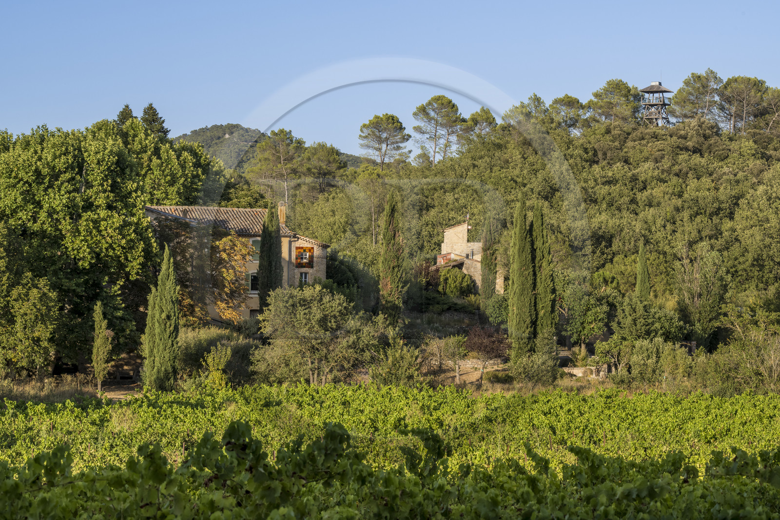 France, Var (83), Provence Verte, Bras, vers Saint-Maximin-la-Sainte-Baume, la maison d'hotes Le Peyrourier - une campagne en Provence France, Var (83), Provence Verte, Bras, vers Saint-Maximin-la-Sainte-Baume, la maison d'hotes Le Peyrourier - une campagne en Provence
