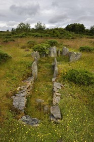 France, Ille-et-Vilaine, Saint-Just, megalithic monuments of the Lande de Cojoux, Croix Saint Pierre west dolmen