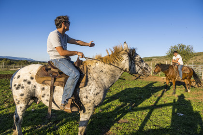 France, Herault, the Causses and the Cevennes, Mediterranean agro pastoral cultural landscape, listed as World Heritage by UNESCO, La Vacquerie et Saint Martin de Castries, the Mas de Cisco ranch, Julian and his brother Charlie Amposta on their horses