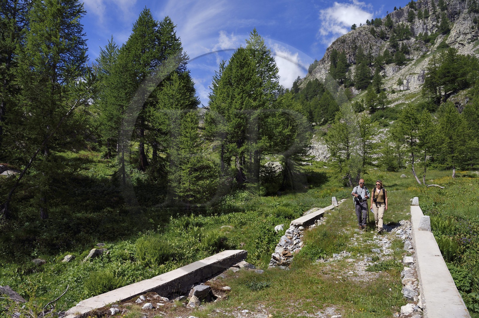 France, Alpes-Maritimes (06), parc national du Mercantour, vallée de la Valmasque, ancienne piste construite par les italiens sous Mussolini, pont qui franchit le torrent de la Valmasque France, Alpes-Maritimes (06), parc national du Mercantour, vallée de la Valmasque, ancienne piste construite par les italiens sous Mussolini, pont qui franchit le torrent de la Valmasque