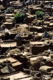 Mali, pays Dogon, falaise de Bandiagara, classée Patrimoine Mondial de l'UNESCO, le village de Songo avec les récoltes (notamment de mil) séchant sur les toits