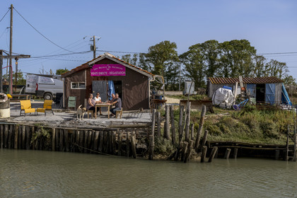 France, Charente Maritime, Oleron island, Dolus d’Oléron, chenal d’Arceau, oyster, shrimp and samphire sales with tasting at the Marais de Salamine
