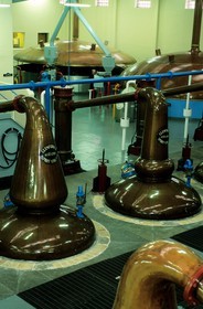 Royaume-Uni, Ecosse, Moray, Dufftown, Glenfiddich distillery, alambics en cuivre traditionnel pour la double distillation du whisky