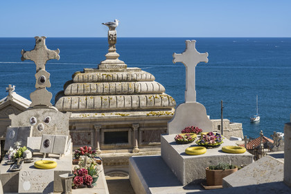 France, Herault, Sète, Saint-Charles cemetery known as the Marin cemetery