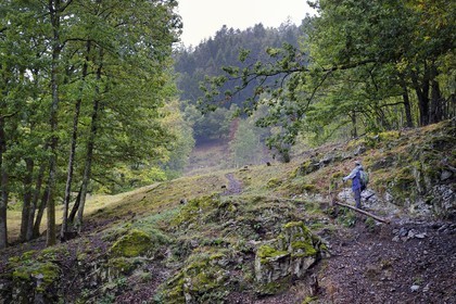 France, Haut Rhin, Ballons des Vosges Regional Natural Park, hiker going up the Storckensohn valley West of Fellering
