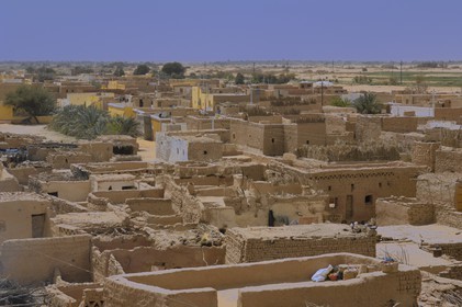 Egypte, désert libyque, oasis de Dakhla, le village de Eshbet Bashendi (Bashandi)
