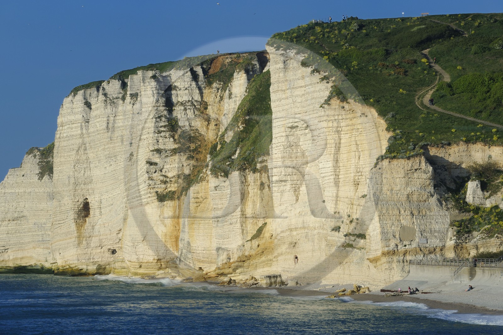 France, Seine-Maritime (76), Pays de Caux, Côte d'Albâtre, Etretat, la falaise d'Amont