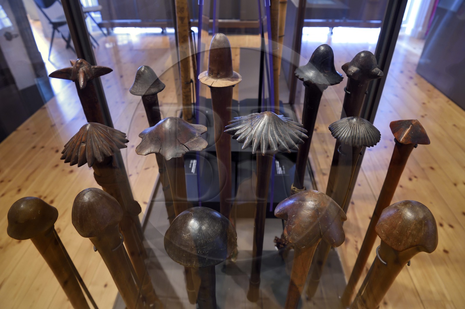 France, Charente-Maritime (17), La Rochelle, le Muséum d'histoire naturelle (muséum Lafaille), massues Kanak