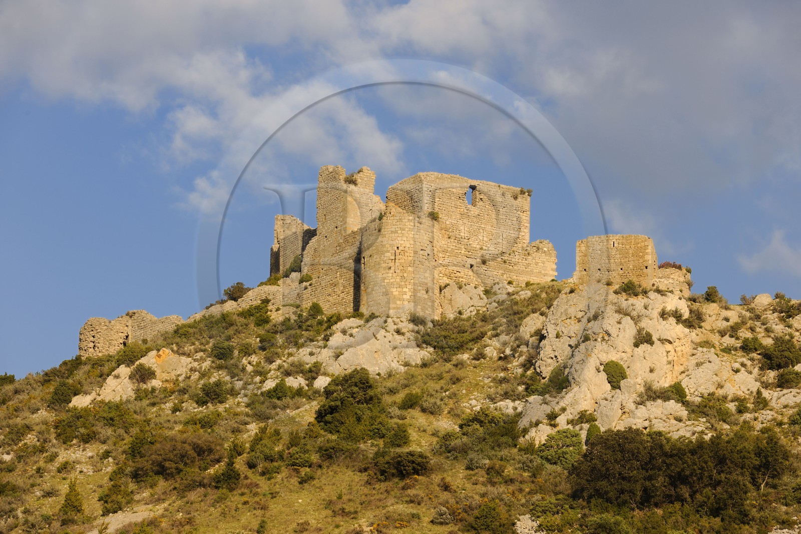 France, Aude (11), ruines du château cathare d’Aguillar dans les Corbières