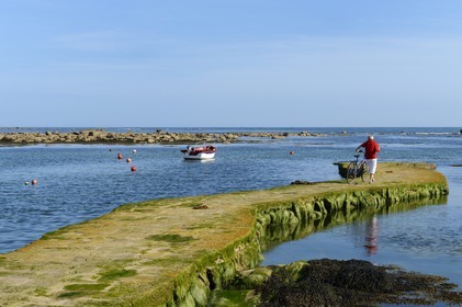 France, Finistere, Penmarch, Pointe de Penmarc'h, St Pierre Harbour