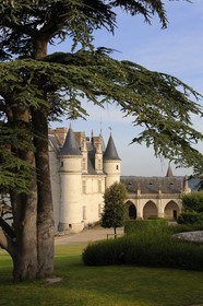 France, Indre et Loire, Amboise, Loire Valley listed as World Heritage by UNESCO, Chateau d'Amboise, the dwelling of the King