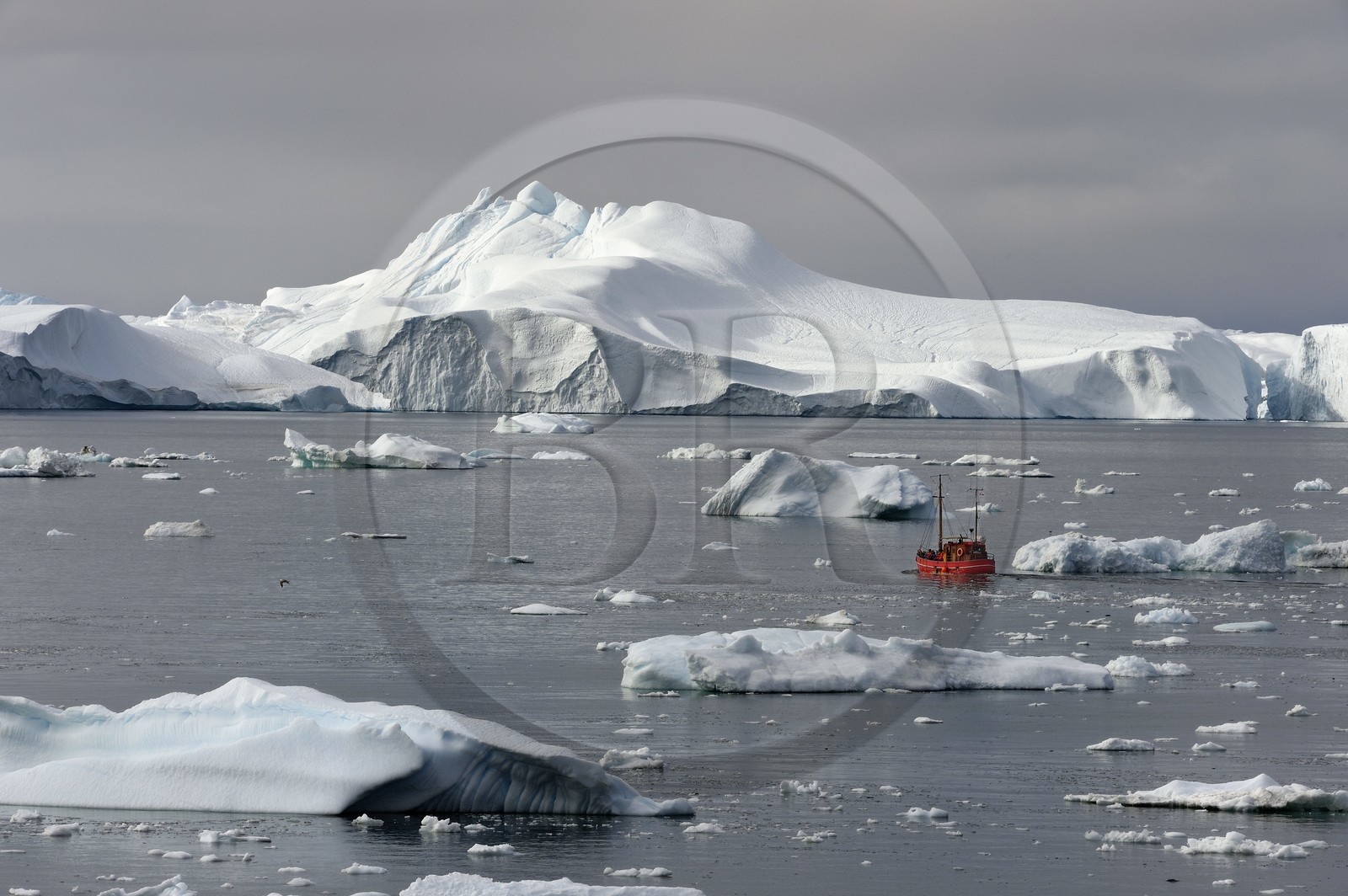 Groenland, cote ouest, baie de Disko, Ilulissat, fjord glacé classé Patrimoine Mondial de l'UNESCO qui est l’embouchure maritime du glacier Sermeq Kujalleq, ancien bateau de pêche reconverti pour la découverte des icebergs et l'observation des baleines