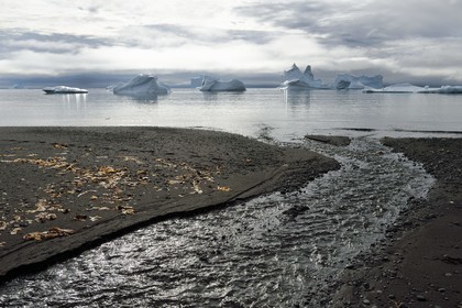 Greenland, west coast, Disko Island, Qeqertarsuaq village bay, icebergs in the mist