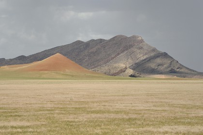 Namibie, région de Erongo, désert du Namib en bordure du parc national Namib Naukluft