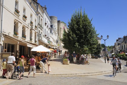 France, Indre et Loire, Loire Valley listed as World Heritage by UNESCO, Amboise