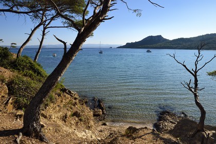 France, Var (83), Iles d'Hyères, parc national de Port Cros, Ile de Porquerolles, plage Notre-Dame dans la Baie de l'Alycastre et le Cap des Mèdes en arrière-plan