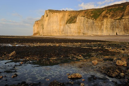 France, Seine-Maritime, Cote d'Albatre, Vattetot-sur-Mer, the cliffs and the beach at low tide