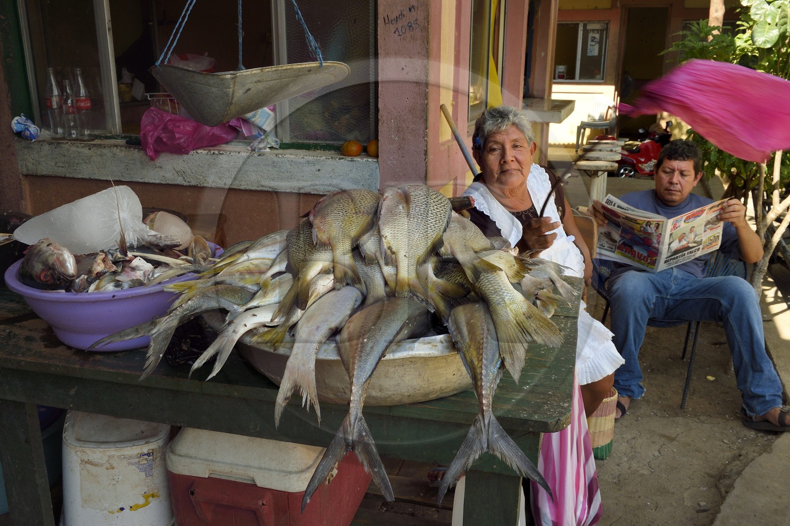 Nicaragua, Leon, marché du quartier de Sutiaba, la vendeuse éloigne les mouches de ses poissons