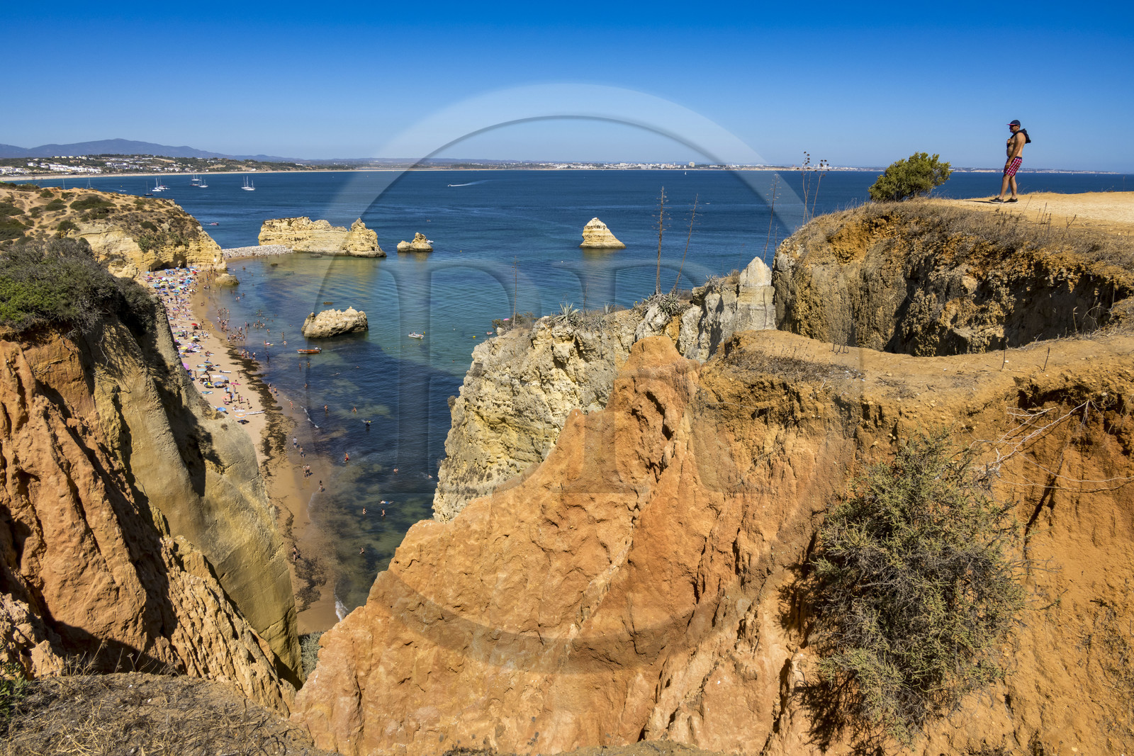 Portugal, Algarve, Lagos, la plage de Praia Dona Ana bordée par des falaises escarpées