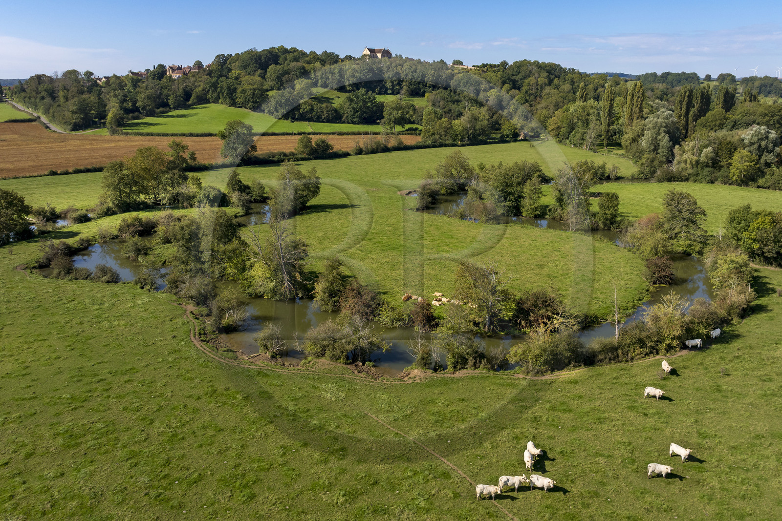 France, Yonne (89), Montréal (Bourgogne), les boucles de la rivière Serein au milieu des pré et la collégiale Notre-Dame en arrière plan (vue aérienne)