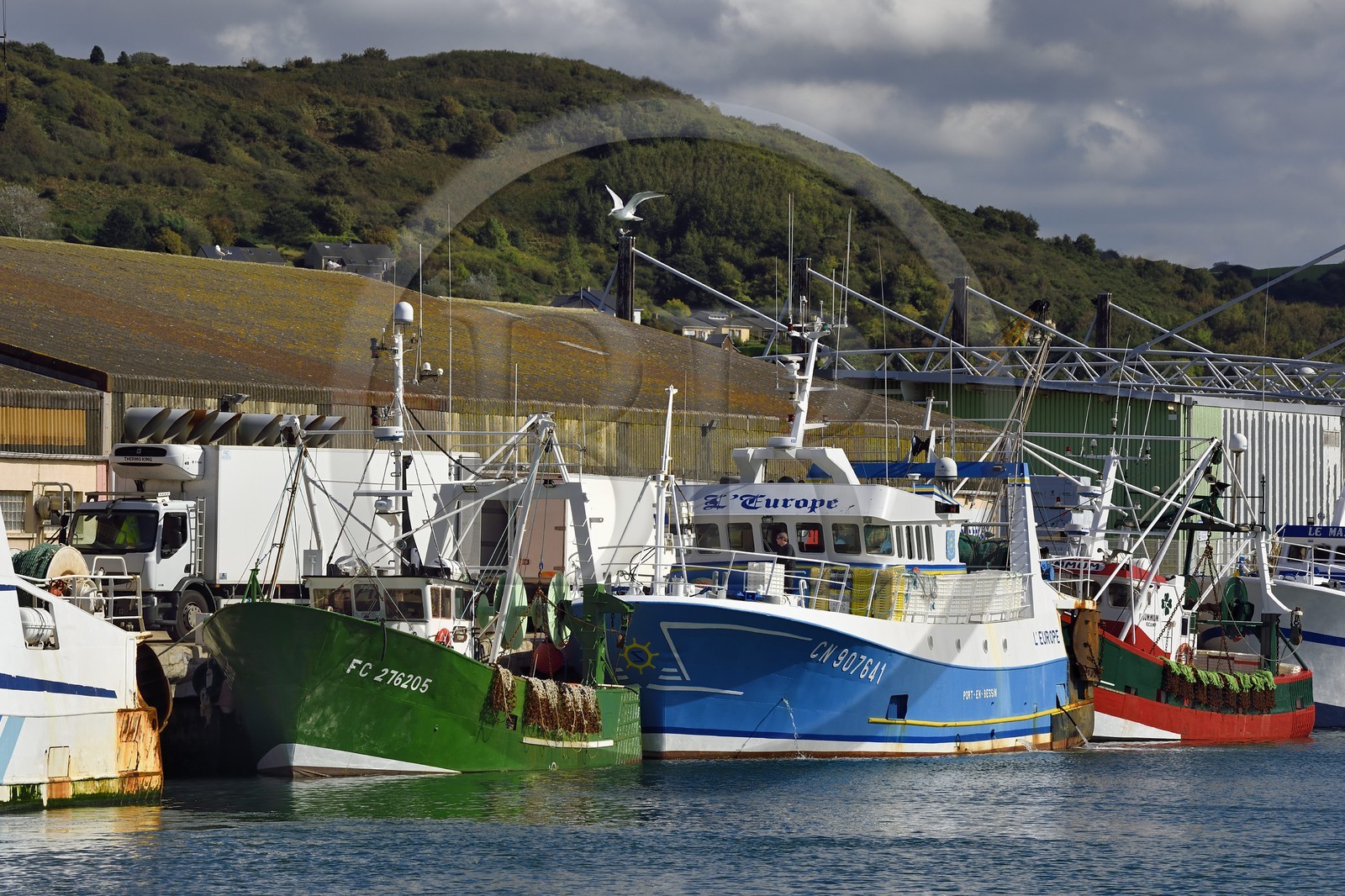 France, Seine-Maritime (76), Pays de Caux, Côte d'Albâtre, Fécamp, chalutiers dans le port de pêche