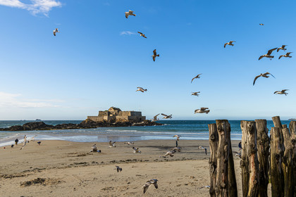 France, Ille-et-Vilaine (35), Côte d'Emeraude, Saint-Malo, Fort National conçu par Vauban et construit par Siméon Garangeau de 1689 à 1693, la plage de l'eventail à marée basse avec ses brise-lames en bois