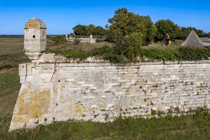 France, Charente Maritime, Saintonge, Marennes Hiers Brouage, Brouage citadel, labelled Les Plus Beaux Villages de France (The Most Beautiful Villages of France), the ramparts built from 1630 to 1640 are equipped with watchtowers (aerial view)
