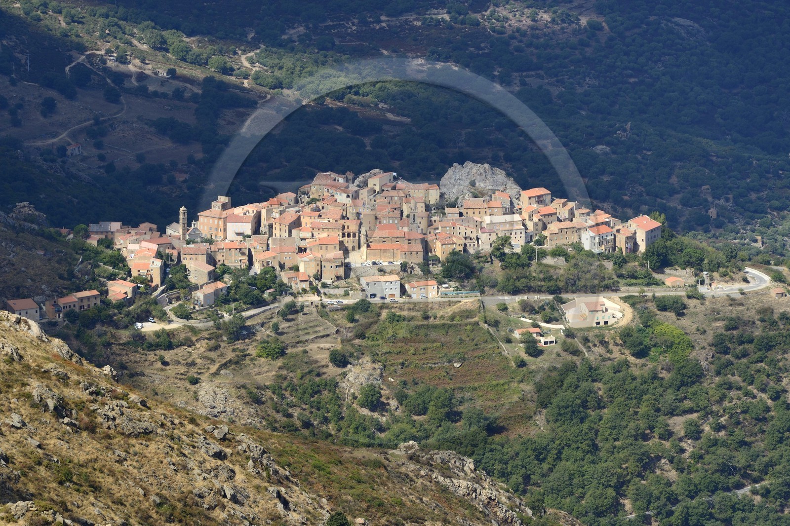 France, Haute-Corse (2B), Balagne, village perché de Speloncato